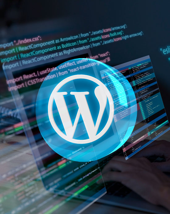 Wordpress Developer